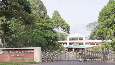 Cao su Đồng Nai tiếp tục bị thu hồi hơn 129.000 m² đất ở Long Thành