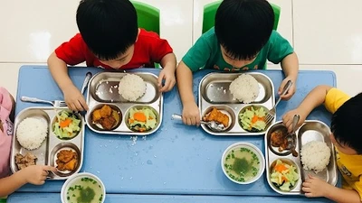 Vì sao một nhà thầu trúng gần 32 tỷ đồng tiền suất ăn học đường qua cơ chế 'chọn thầu đặc biệt'?
