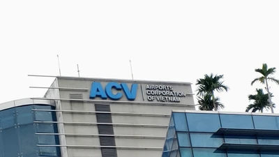 ACV: 6 tháng lỗ tỷ giá 1 nghìn tỷ, kế hoạch lãi cả năm suy giảm