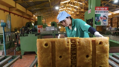 Những khoản đầu tư thua lỗ của Tổng Công ty Cao su Đồng Nai