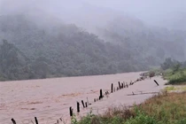 Một người dân Quảng Ngãi mất tích do nước lũ cuốn trôi, tìm kiếm gặp khó khăn