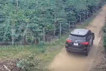 Tài xế gây tai nạn nghiêm trọng ở Gia Lai đã ra đầu thú