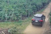 Tài xế gây tai nạn nghiêm trọng ở Gia Lai đã ra đầu thú