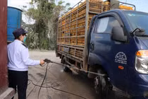 Gia Lai thành lập 4 chốt kiểm soát dịch bệnh động vật