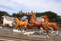 Gia Lai của biển xanh và đại ngàn rộn ràng trước thềm Xuân Bính Ngọ 2026