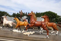 Gia Lai của biển xanh và đại ngàn rộn ràng trước thềm Xuân Bính Ngọ 2026