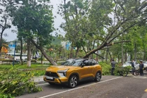 Cây bật gốc giữa phố làm bị thương người phụ nữ đi xe máy