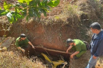 Truy tìm nguồn gốc tấm gỗ che giấu xe máy vụ cướp ngân hàng ở Gia Lai