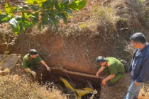 Truy tìm nguồn gốc tấm gỗ che giấu xe máy vụ cướp ngân hàng ở Gia Lai