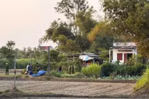 Công an điều tra vụ án mạng 4 người trong một gia đình tử vong