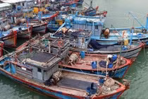 Gia Lai kêu gọi 83 tàu khẩn trương ra khỏi vùng nguy hiểm của bão Kalmaegi