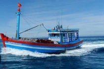 Tìm kiếm tàu cá Gia Lai cùng 8 thuyền viên mất liên lạc 2 ngày