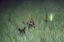 Khởi tố đối tượng mắc điện bẫy chuột khiến 2 người ở Gia Lai tử vong