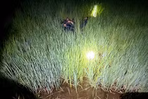 2 người đàn ông Gia Lai tử vong nghi do dính bẫy chuột bằng điện