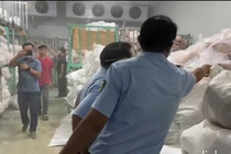 Bước đầu, lực lượng chức năng đề nghị cơ sở cung cấp các văn bản, tài liệu pháp lý có liên quan đến hoạt động kinh doanh của cơ sở, và các giấy tờ chứng minh nguồn gốc heo nhập vào để giết mổ. Ảnh B.L