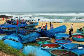 Gia Lai tạm dừng mọi hoạt động vận chuyển khách du lịch trên biển