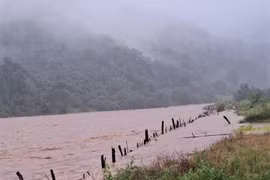 Một người dân Quảng Ngãi mất tích do nước lũ cuốn trôi, tìm kiếm gặp khó khăn