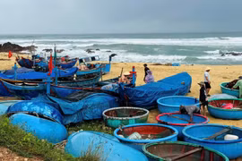 Gia Lai tạm dừng mọi hoạt động vận chuyển khách du lịch trên biển