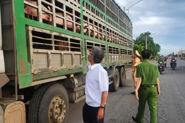 Phát hiện vụ vận chuyển 54 con heo có dấu hiệu dịch bệnh vào Nam tiêu thụ