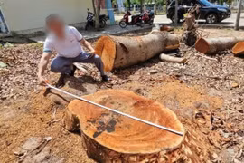 Nguyên Bí thư và Chủ tịch phường được yêu cầu làm bản tự kiểm