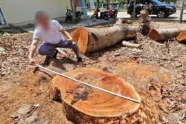 Nguyên Bí thư và Chủ tịch phường được yêu cầu làm bản tự kiểm