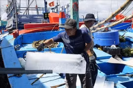 Ngư dân Gia Lai ra khơi chờ mong một vụ mùa bội thu