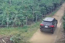 Tài xế gây tai nạn nghiêm trọng ở Gia Lai đã ra đầu thú