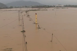 Mưa lớn trong đêm, nhiều khu phố ở Gia Lai lại ngập lụt