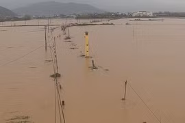 Mưa lớn trong đêm, nhiều khu phố ở Gia Lai lại ngập lụt