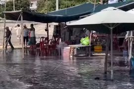 Bãi biển Nhơn Lý ô nhiễm nặng vì nước xả thải đen sì