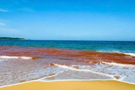 Chi cục Thủy sản Gia Lai lý giải nguyên nhân nước biển Hoài Nhơn Bắc màu đỏ