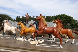 Gia Lai của biển xanh và đại ngàn rộn ràng trước thềm Xuân Bính Ngọ 2026