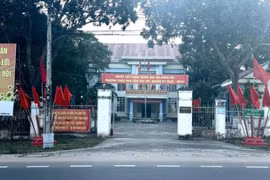  Chuyển điều tra nếu vi phạm pháp luật vụ cưa cây đem bán