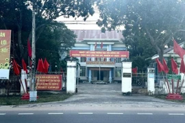  Chuyển điều tra nếu vi phạm pháp luật vụ cưa cây đem bán