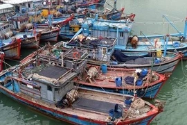 Gia Lai kêu gọi 83 tàu khẩn trương ra khỏi vùng nguy hiểm của bão Kalmaegi