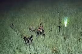 Khởi tố đối tượng mắc điện bẫy chuột khiến 2 người ở Gia Lai tử vong