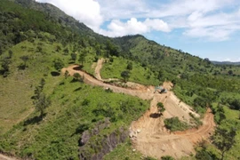  Tỉnh Gia Lai chỉ đạo xử lý trách nhiệm và khôi phục hiện trạng núi Chư Nâm 