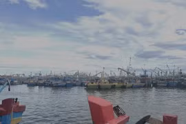 Gia Lai kêu gọi 141 tàu cá khẩn trương di chuyển khỏi vùng nguy hiểm của bão số 10