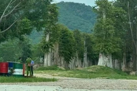 Gia Lai tạm đình chỉ sinh hoạt đảng đối với 5 cán bộ để phục vụ điều tra