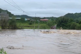 Gần 350 hộ dân xã Ia Pa bị cô lập vì mưa lớn kéo dài, ngầm tràn ngập sâu