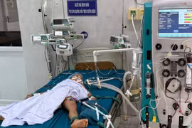 Bị ong đốt trong lúc chơi, một bé tử vong, một trường hợp nguy kịch