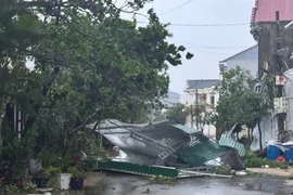 Gia Lai hỗ trợ 6 tỷ đồng cho các tỉnh thiệt hại nặng nề do bão Bualoi