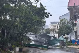 Gia Lai hỗ trợ 6 tỷ đồng cho các tỉnh thiệt hại nặng nề do bão Bualoi