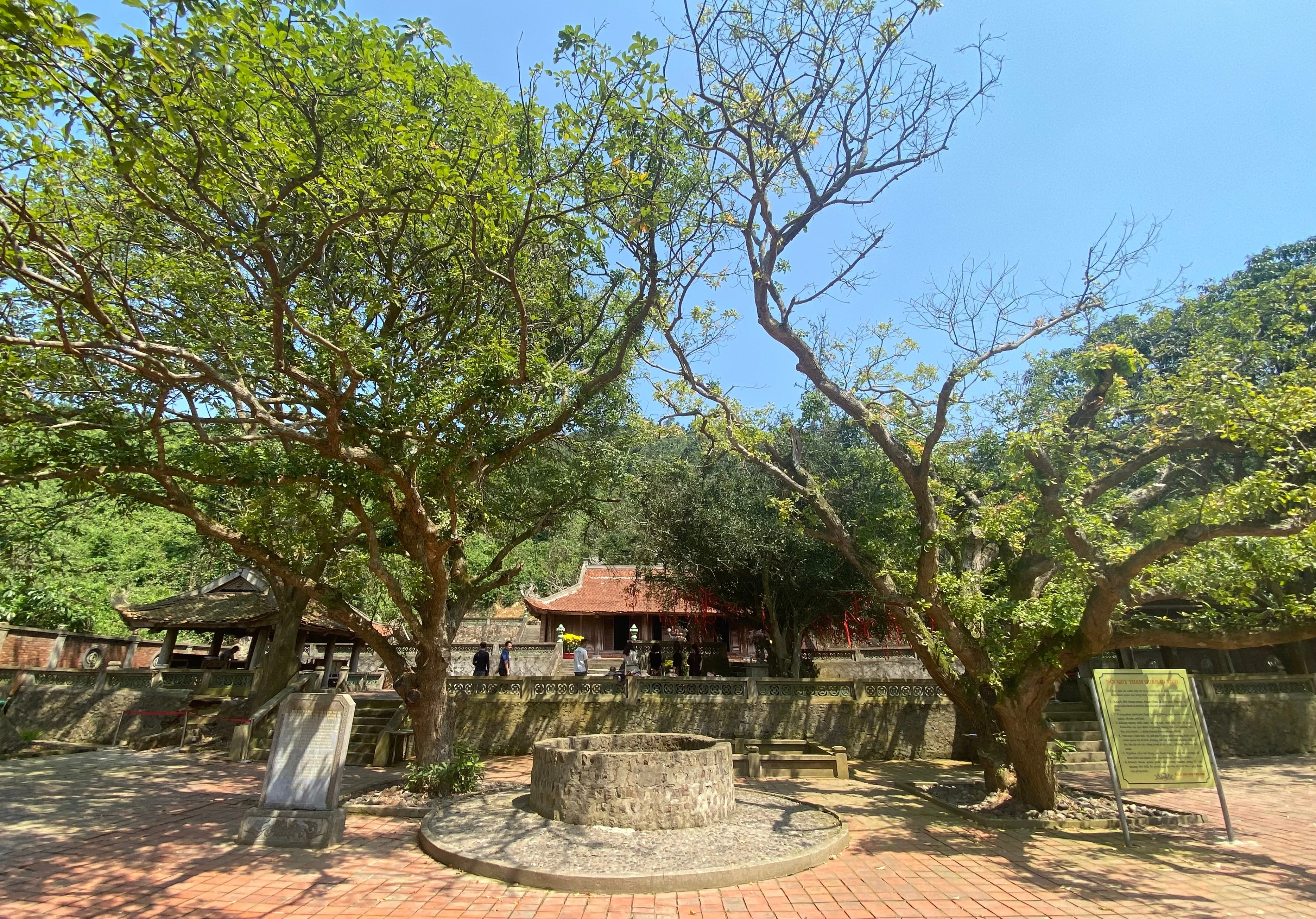 Đầu xuân khám phá Chùa Song Ngư giữa biển khơi xứ Nghệ