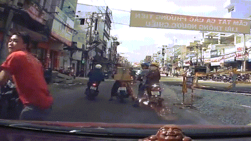 Hon chien tren duong pho Sai Gon vi xe dam nhau hinh anh 1