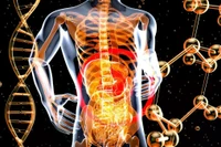 Thực phẩm chứa chất nhũ hóa có thể gây hại đường ruột