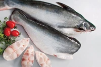 Cá basa có nhiều lợi ích cho sức khỏe