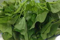 Khám phá công dụng của rau khoai lang đối với sức khỏe toàn diện