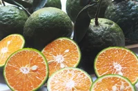 Các loại hoa quả giúp bổ sung canxi 