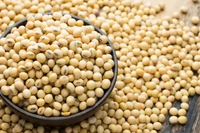 Người mắc bệnh tuyến giáp kiêng ăn gì?